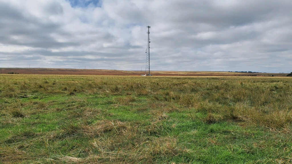 Alkali Station pasture