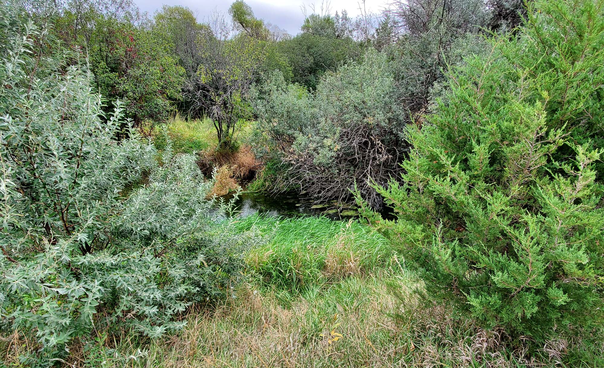 20190930_094429